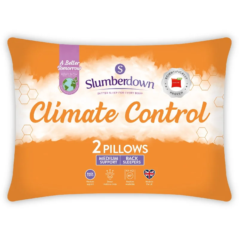 Climate Control Pillow